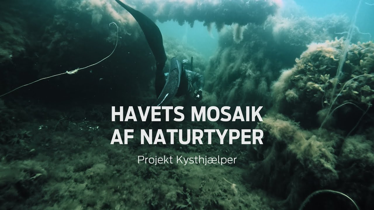 Havets mosaik af naturtyper