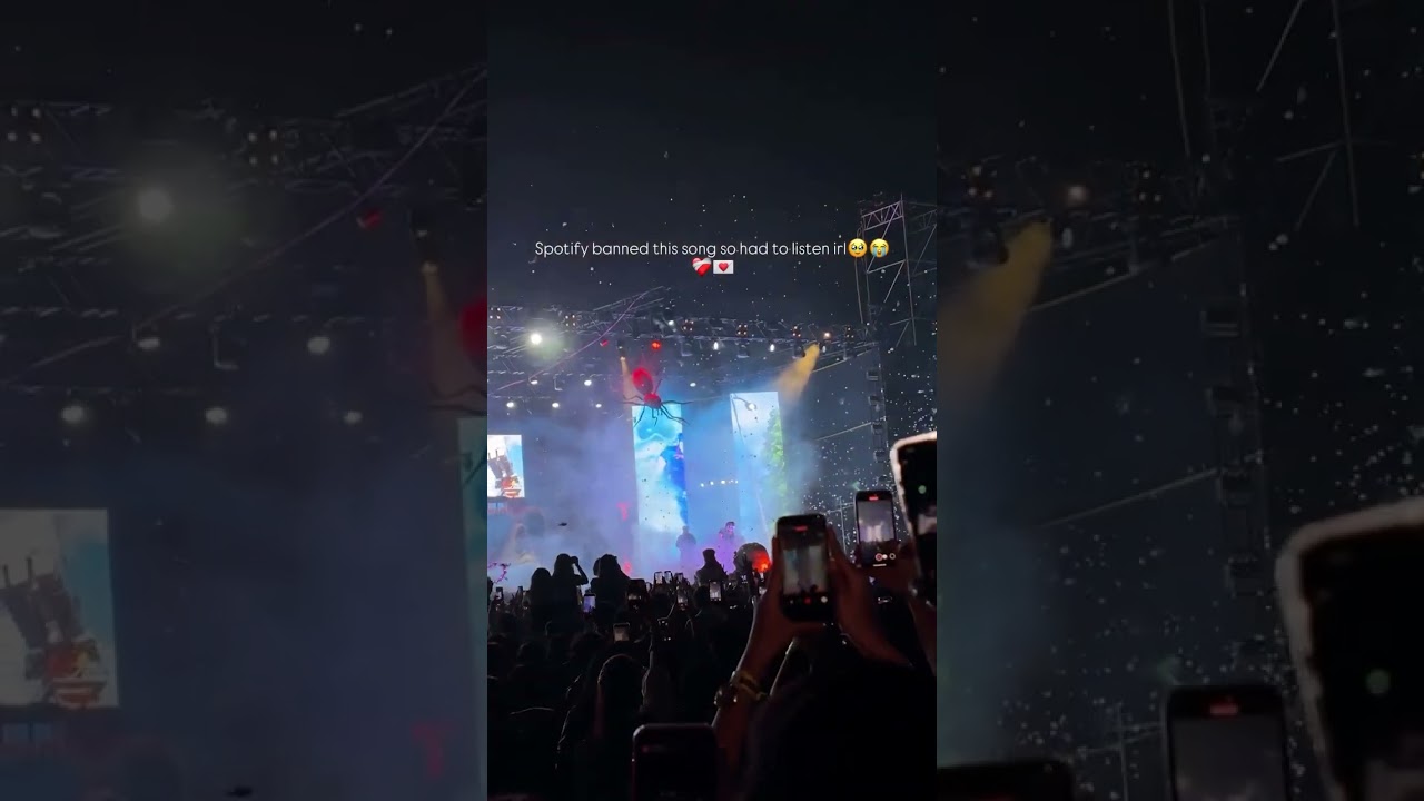 The Evolution of Banner Music: A Sonic Journey Across Platforms