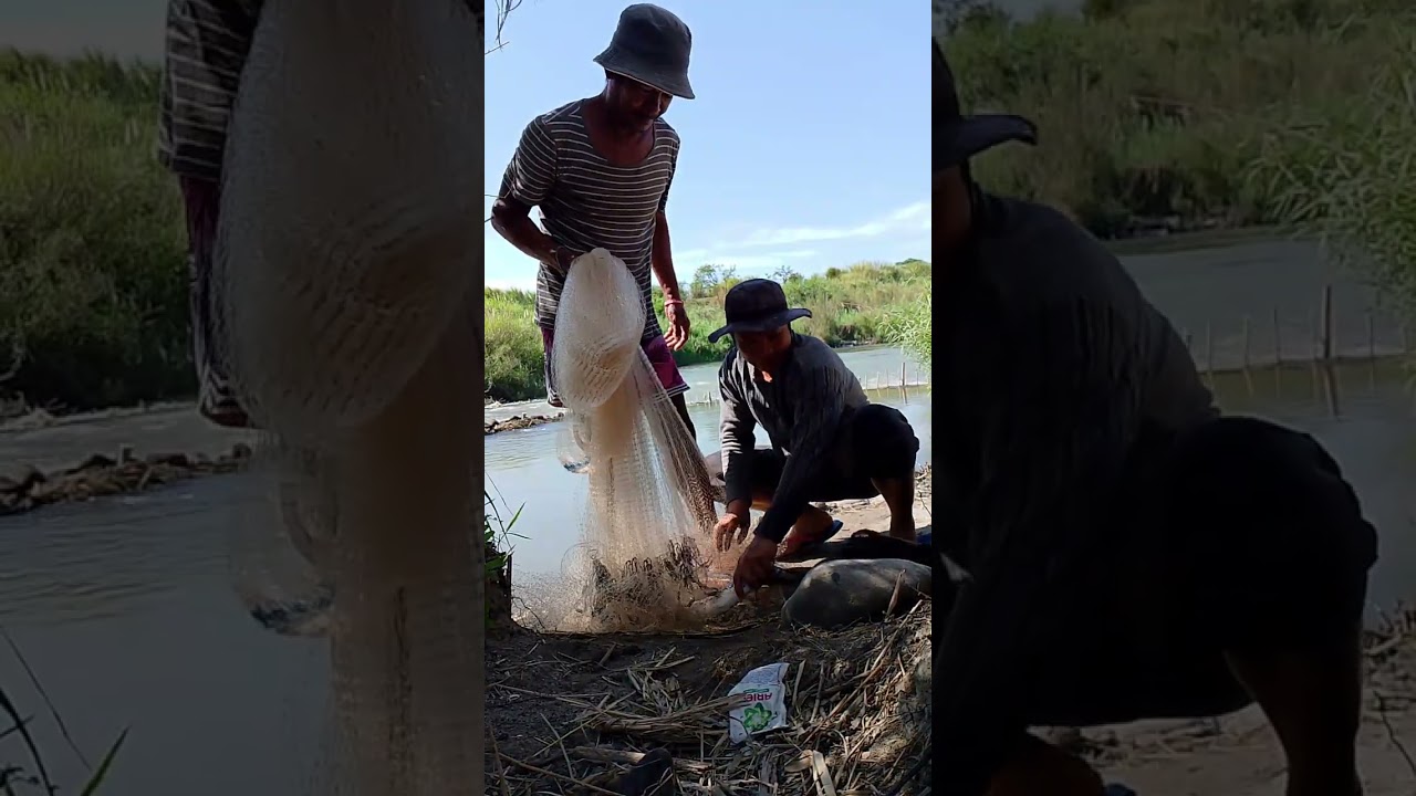 Castnet fishing adventure 