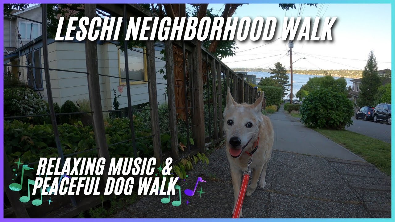 Walking the Lechi Neighborhood in Seattle WA Relaxing Music & Nature Dog Walk