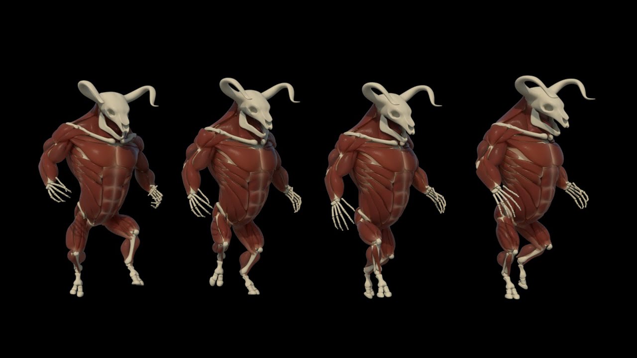 1. Introduction to Houdini Muscles