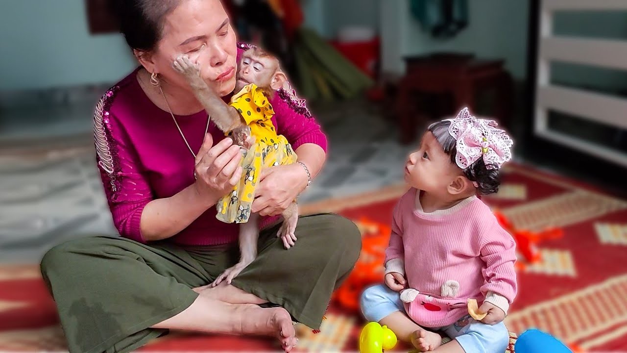The moment Monkey Kaka hugged and kissed his grandmother was very cute and affectionate.