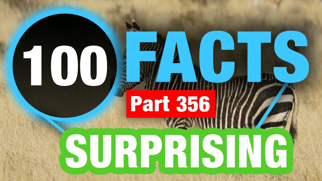 100 Unbelievable Facts | Random Facts You Never Knew