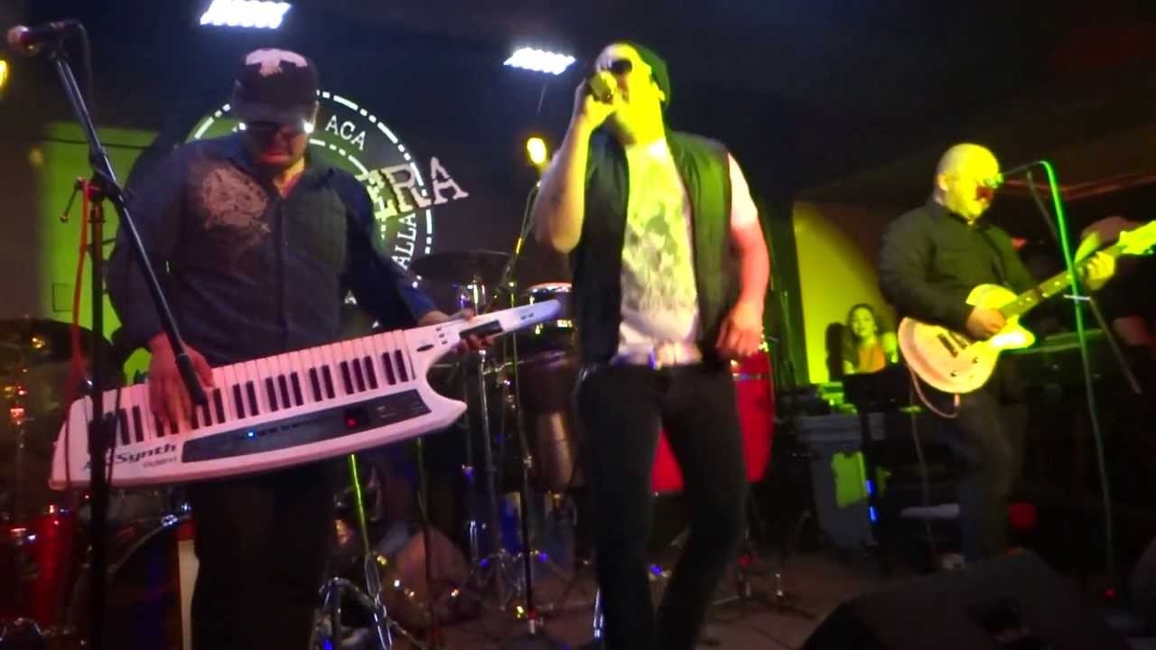 EL GRUPO BULBO