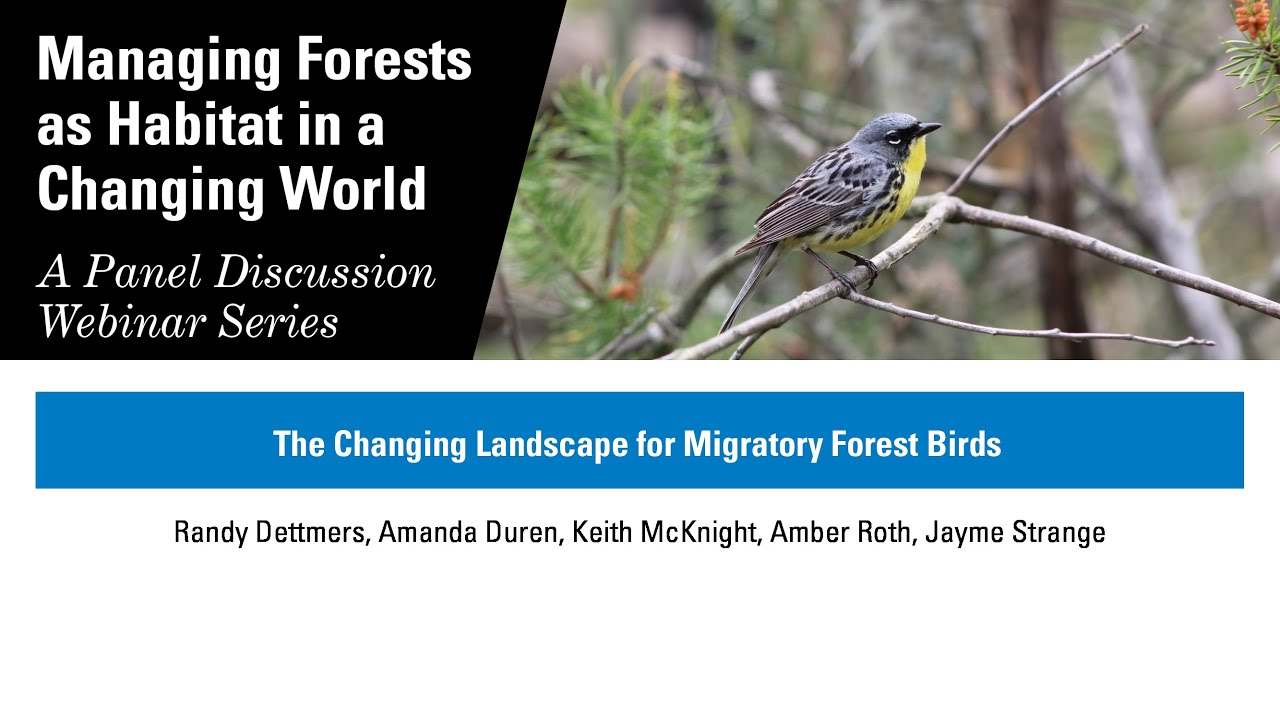 The Changing Landscape for Migratory Forest Birds - April 15, 2025