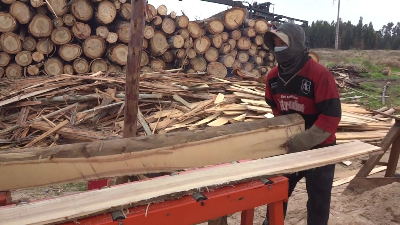 Re aserradero HR120 Wood-Mizer Ecuador Importrosero