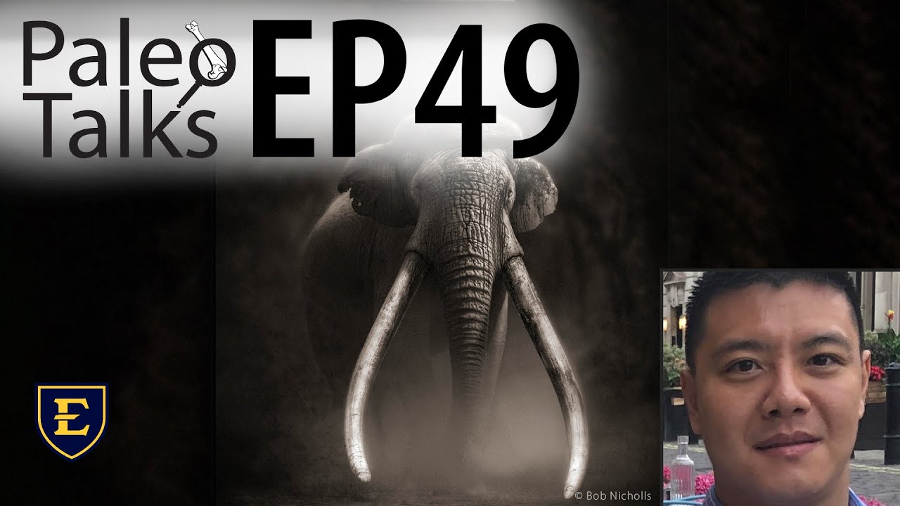The Rise and Fall of The Straight-Tusked Elephants [Paleo Talks EP49]