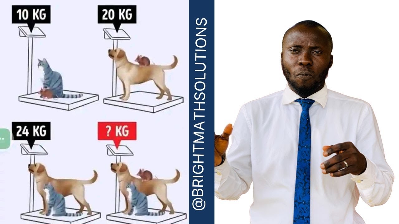 Surprising Kg of Dog, Cat, And Rat Revealed