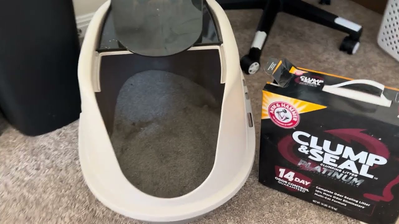 Arm & Hammer Clump & Seal Platinum (Reviews of everyday use products in my house you may love too!)