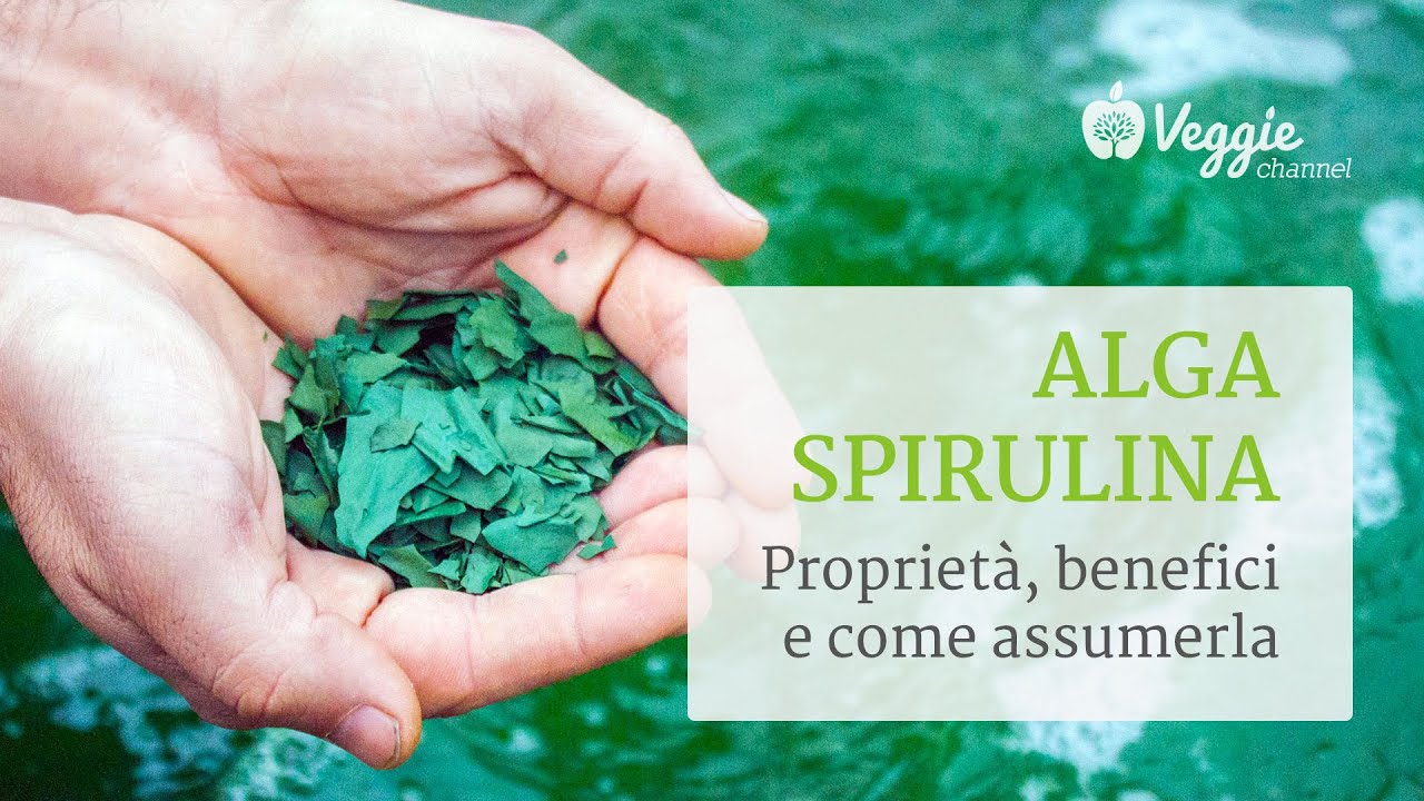 Alga Spirulina, proprietà, benefici e come assumerla - SpirEat