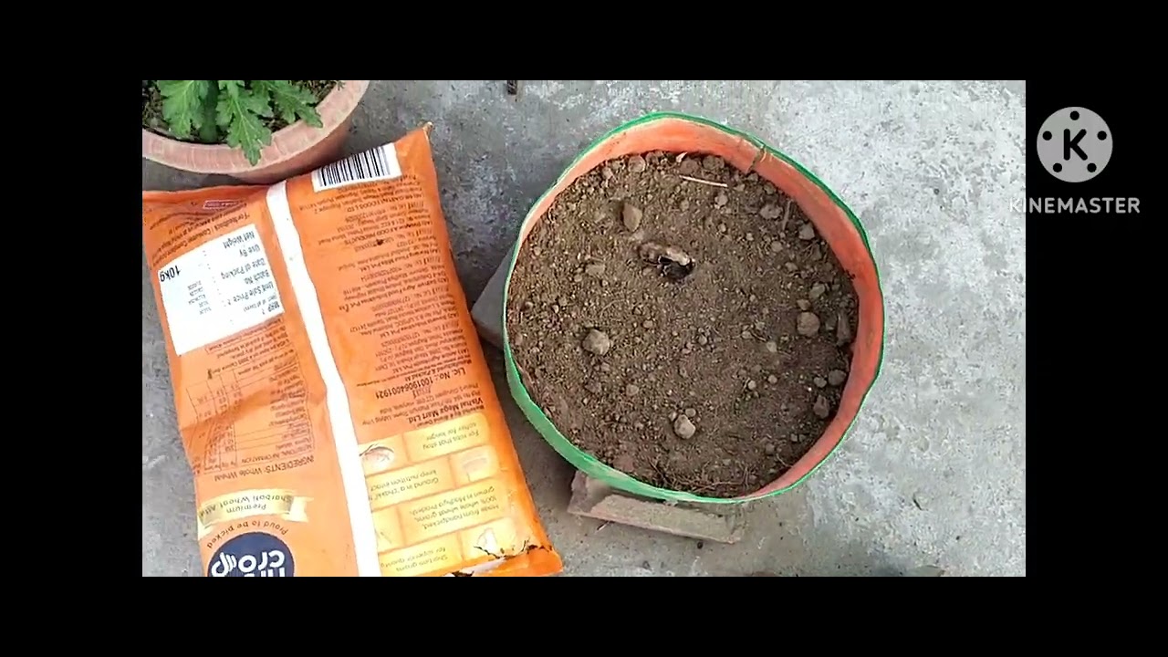 Soil premix video for summer season 