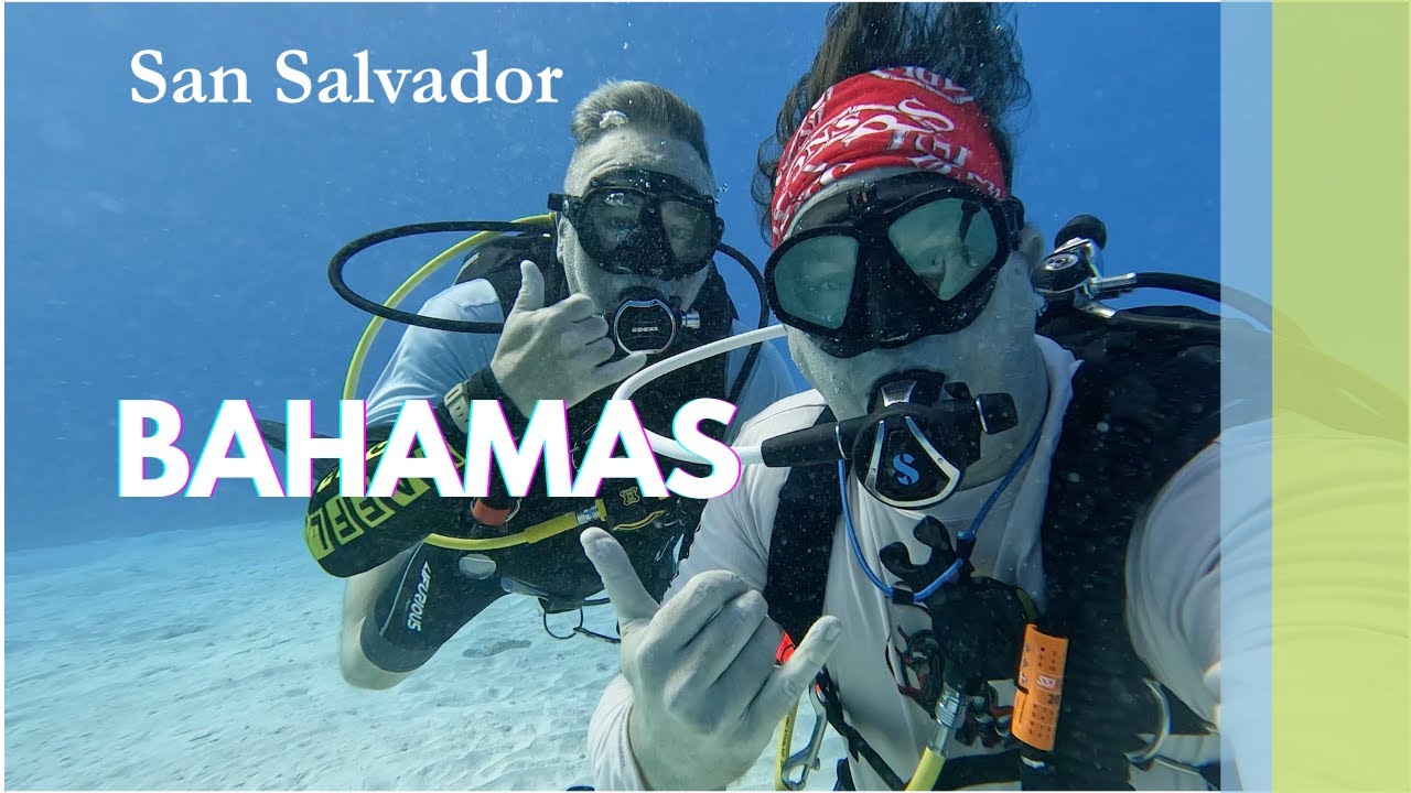 Scuba Diving San Salvador 2025 / The Chase for Hammerheads