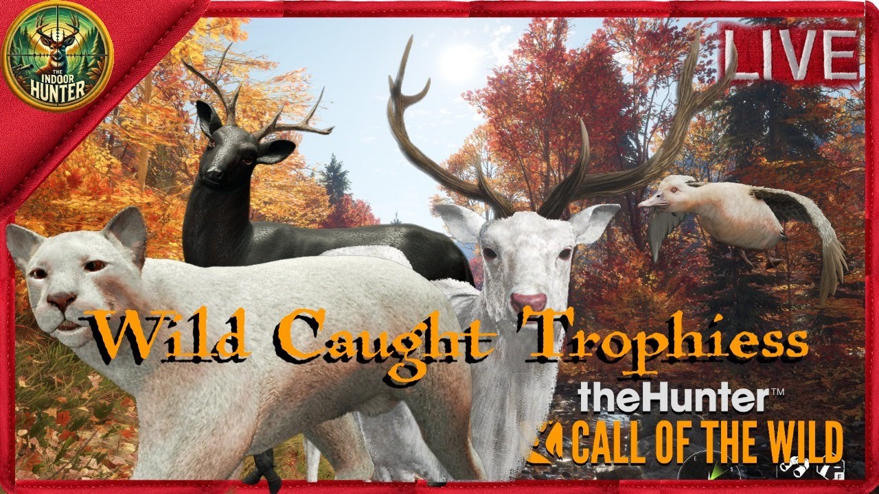 Sniffin out rares bears and more |theHunter Call of the wild