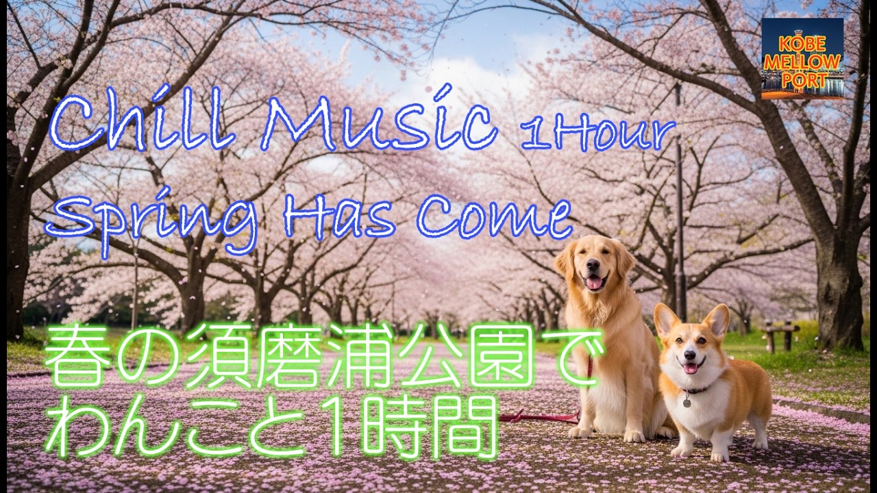 【桜満開】春の須磨浦公園でわんこといっしょにBGM
