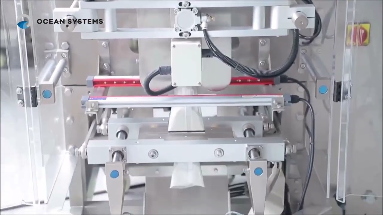 Vertical packing line – packing powder V200  DA1000