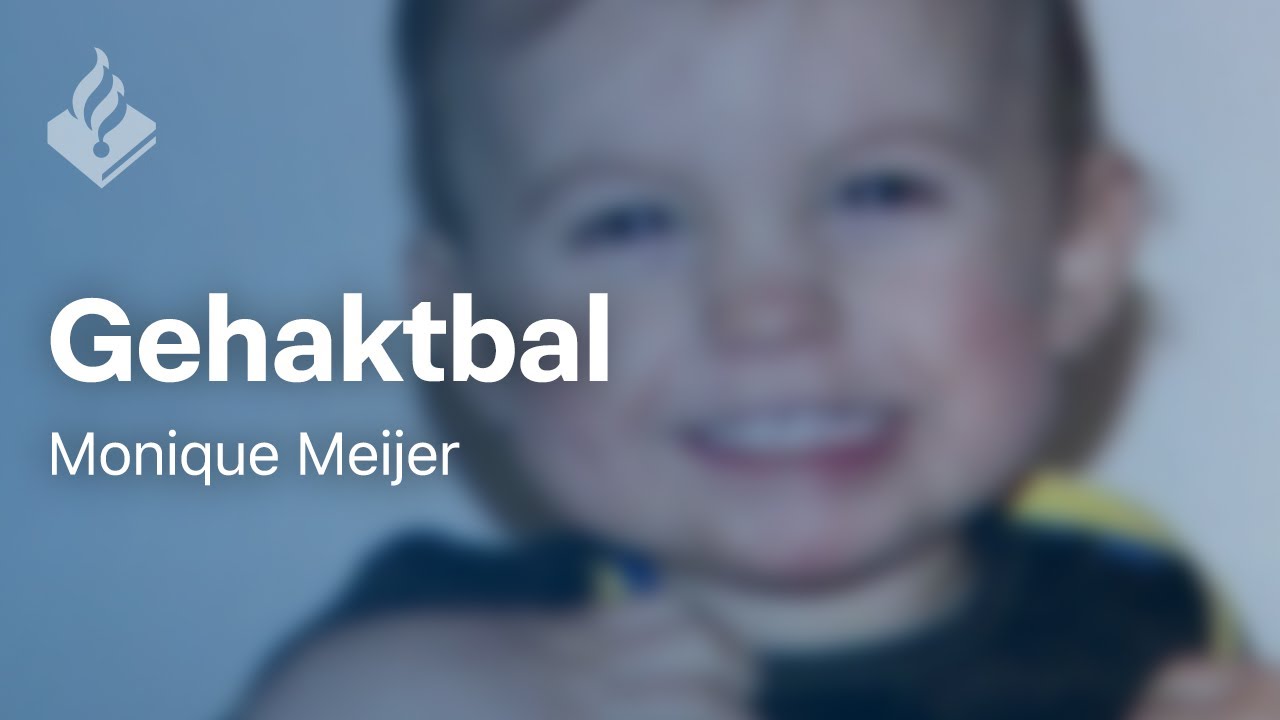 Gehaktbal - door Monique Meijer - Politieverhaal in beeld