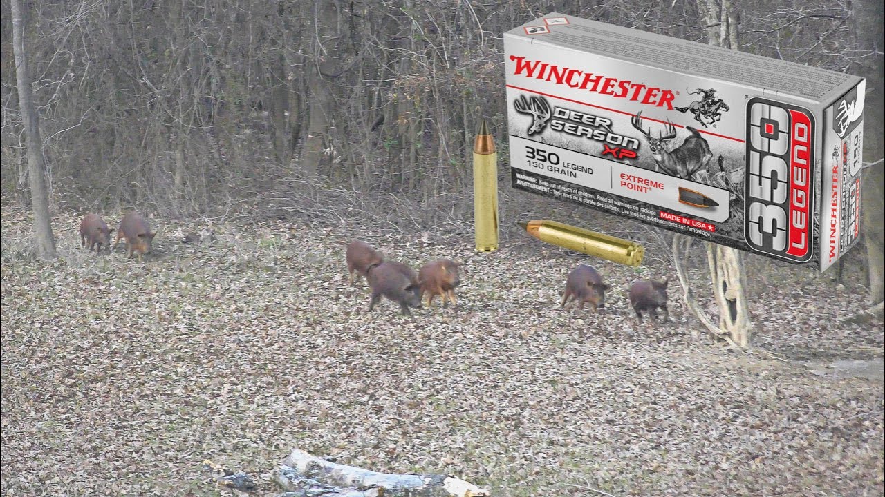 Hunting with Winchester Deer Season XP .350 Legend
