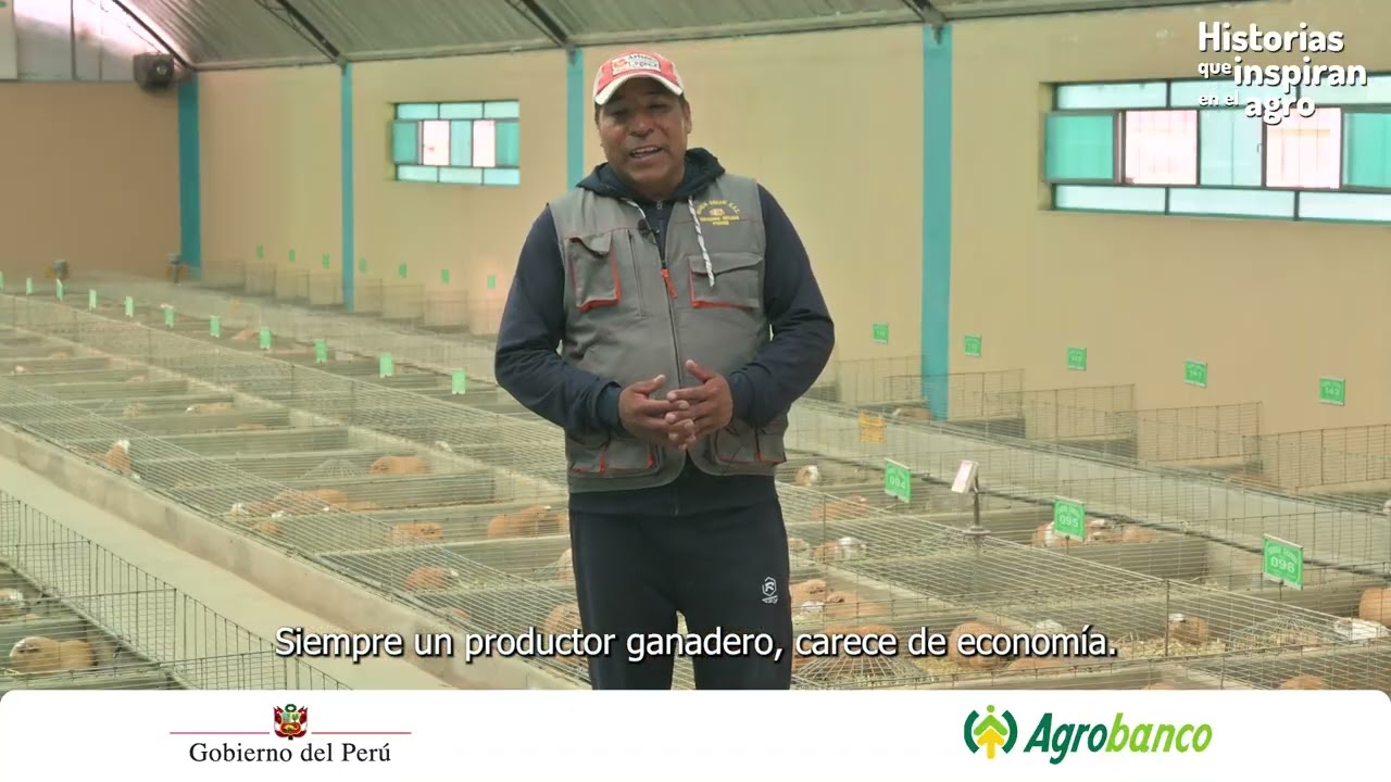 Historias que inspiran en el agro | pequeño productor pecuario de Ayaviri (Puno)