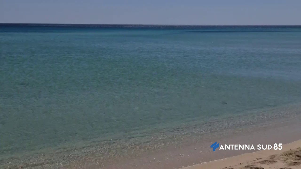 07 Gennaio 2021   Porto Cesareo LE   Avvistata foca monaca