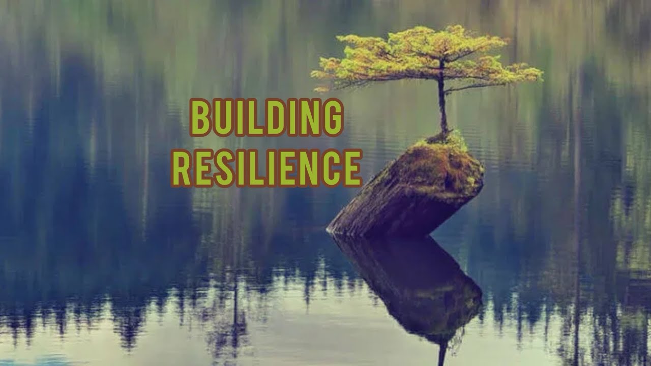   #resilience  #psychology #@Psychology_03 