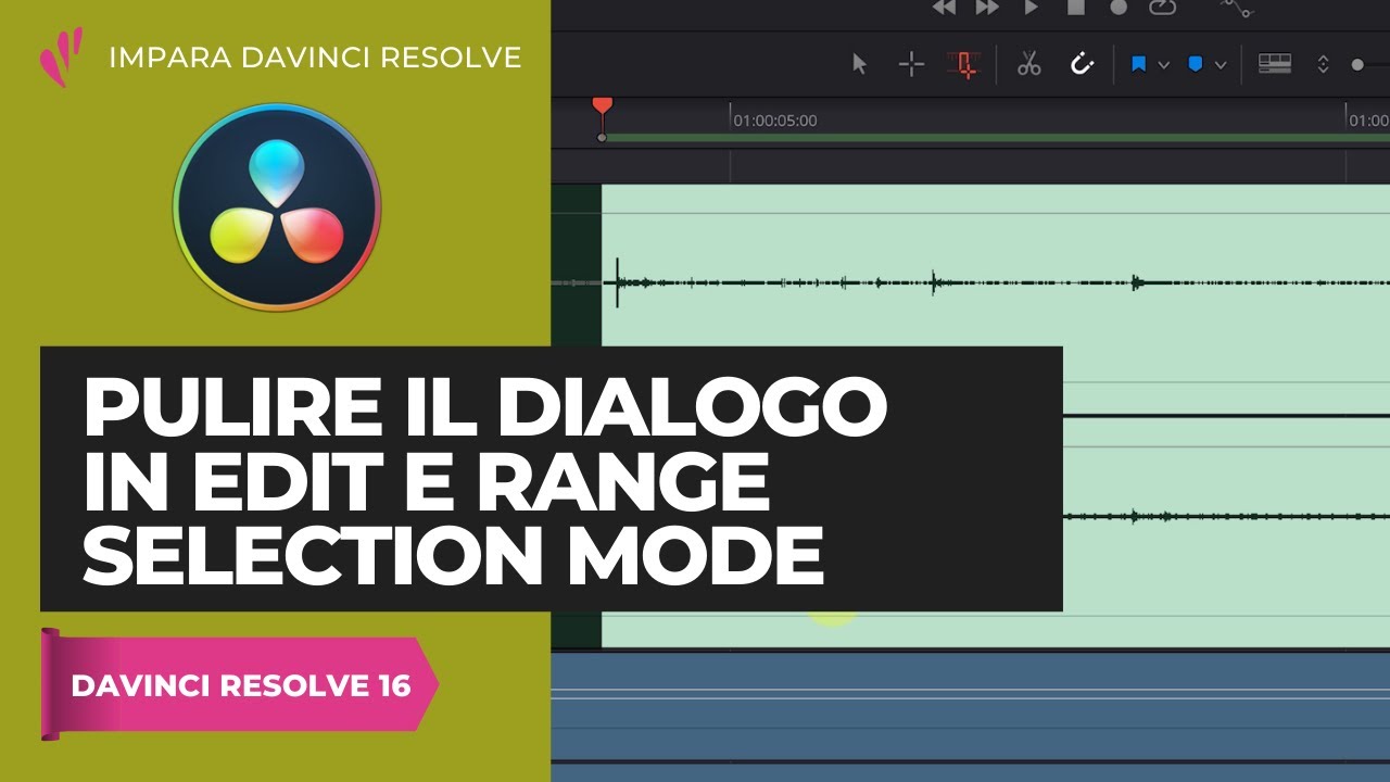 Pulire il dialogo in edit e range selection mode | Fairlight
