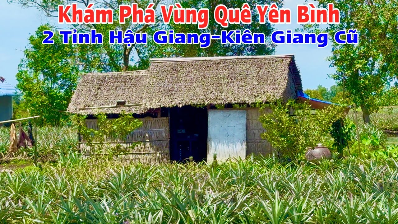 Khám Phá Vùng Quê Yên Bình Của Hai Tỉnh Hậu Giang Và Kiên Giang Cũ, Gặp Căn Chòi Lá Thật Đáng Yêu 