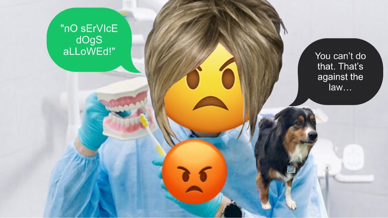 SERVICE DOG DISCRIMINATED AT THE DENTIST'S | Comp. 3