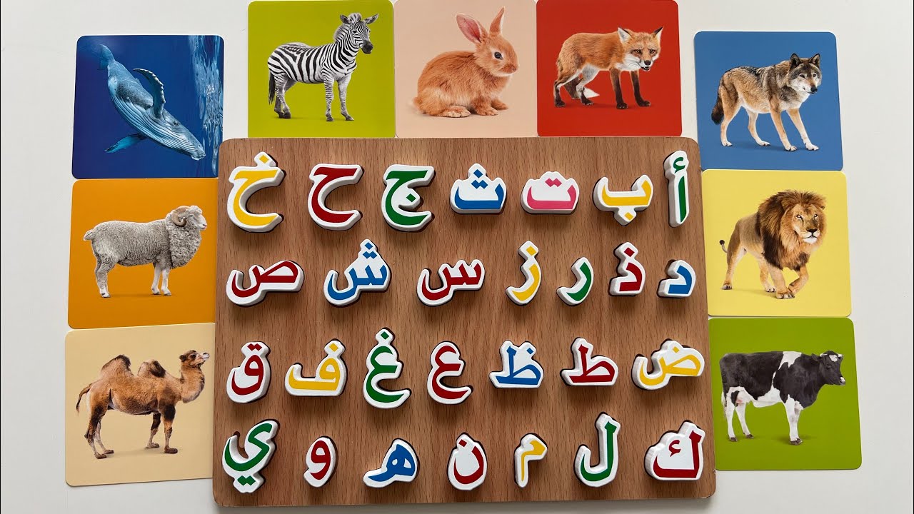 رحلة ممتعة لتعلم الحروف والحيوانات باستخدام بازل الحروف | Arabic Alphabet puzzel 