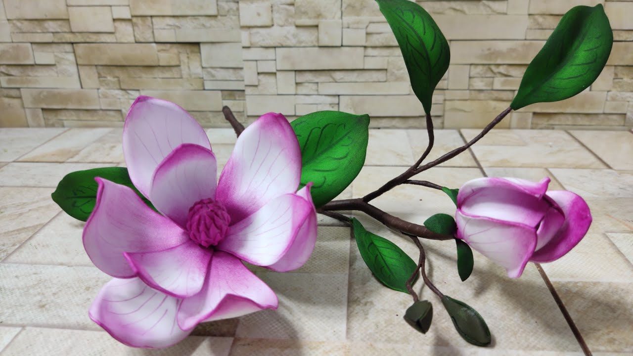 Magnolia em eva