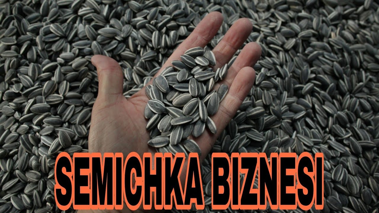 SEMICHKA BIZNESI