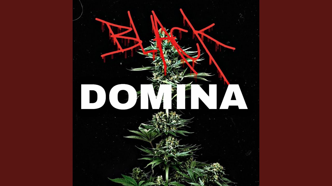 Black Domina