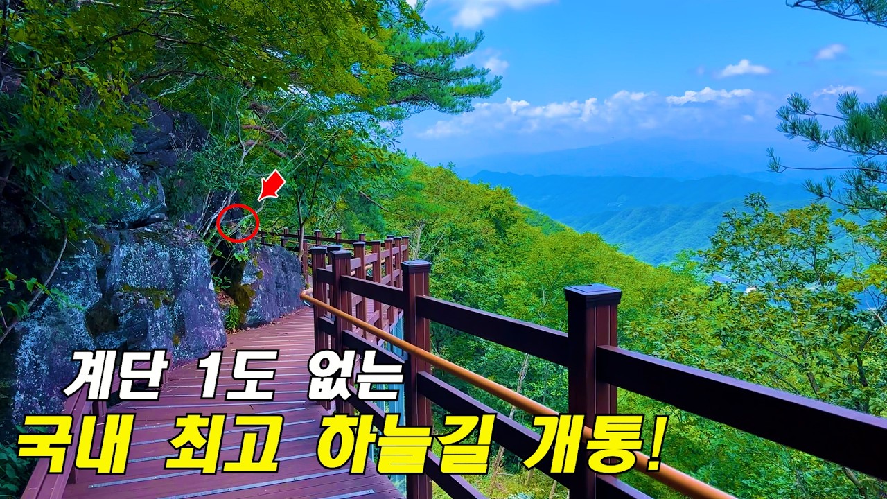 “계단 1도 없어요! 무려 해발 900m, 새로운 하늘길 개통“데크길중 단연코 최고 | 한국에 이런곳이 | 당일치기 여행