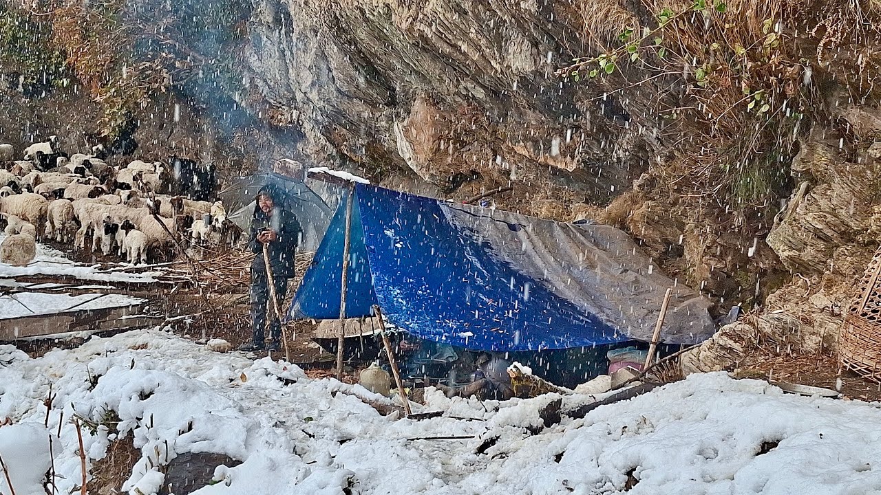 Serviving Life in a freezing Mountain As a Nepali village | Cooking Sheep  Meet |Daily Life Nepal