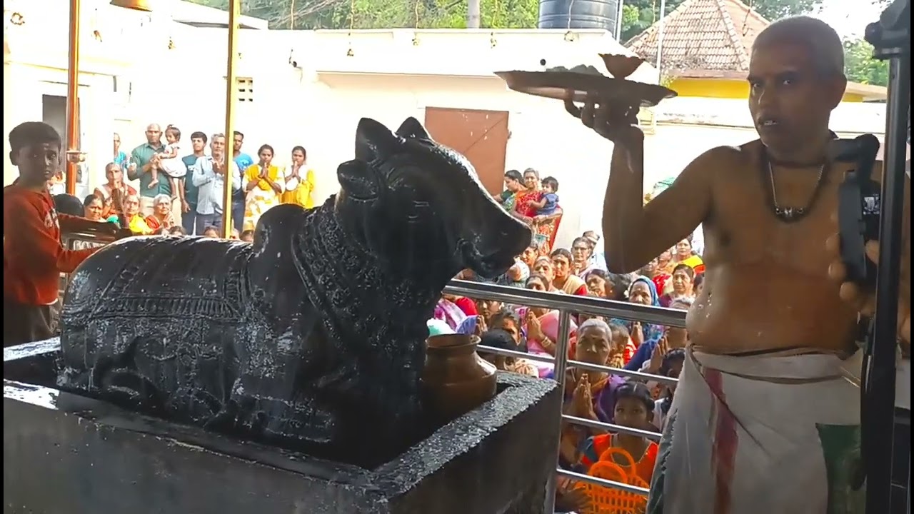 சனிப்ரதோஷம் 14-2-26 அருள்மிகு கைலசாநாதர் விரிஞ்சிபுரம் 