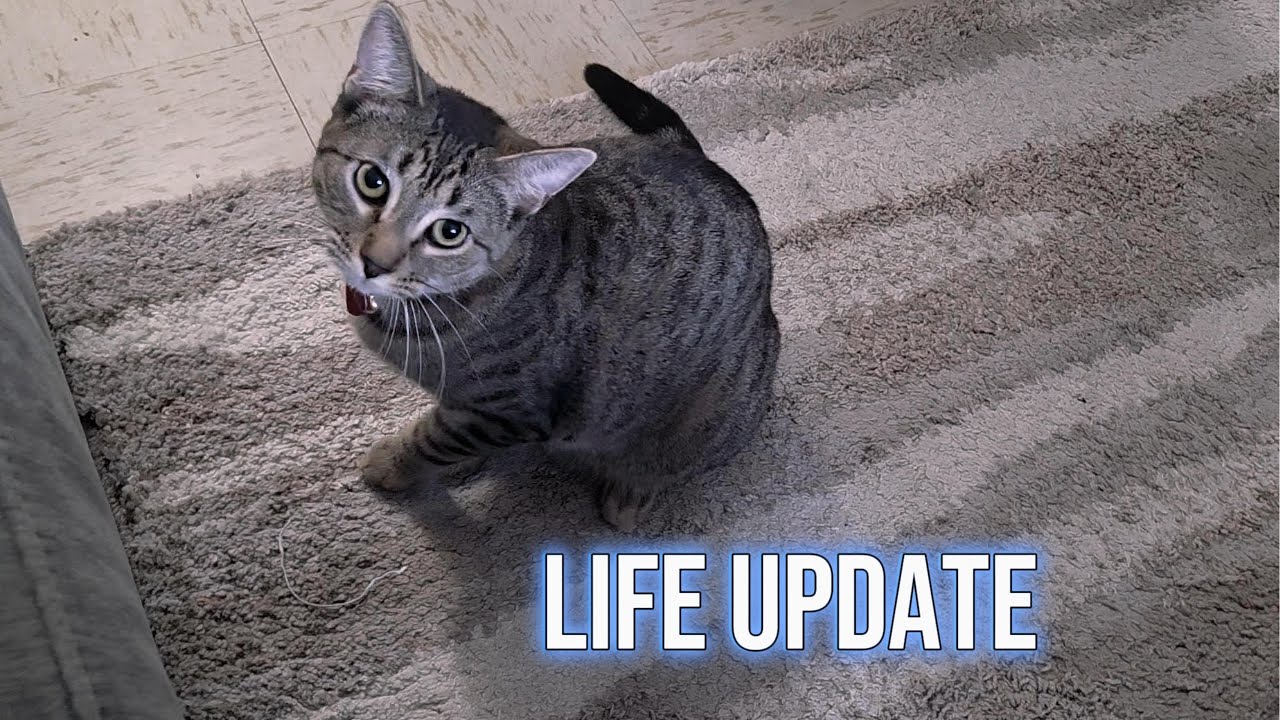 Starting The New Year l Life Update