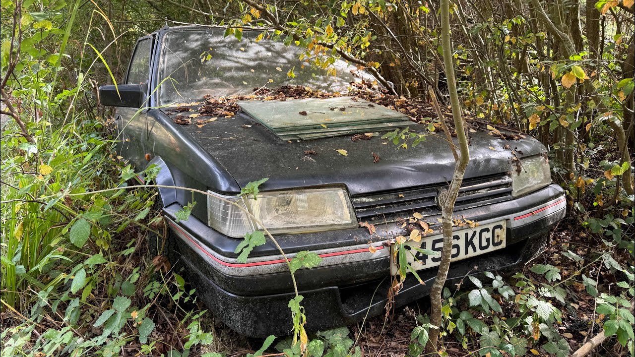 UNCOVERING A SECRET CAR GRAVEYARD FULL OF FORGOTTEN LEGENDS - STOLEN CARS?