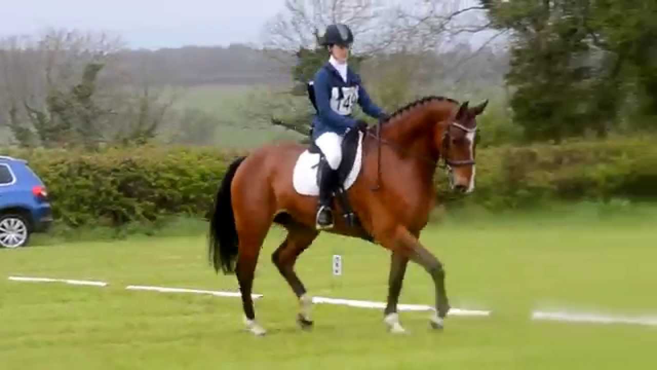 Alfie's first two events!!