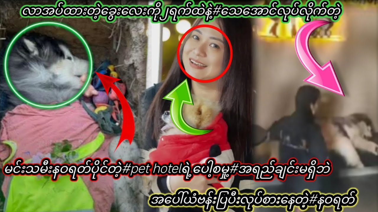 အဝုလေးတွေကိုဗန်းပြပီးလုပ်စားနေတဲ့#မင်းသမီးနဝရတ်#တိလေးတွေပေါ်တဂယ်ဂရုမစိုက်ဘူးနော်အပေါ်ယံချစ်ပြနေတာ