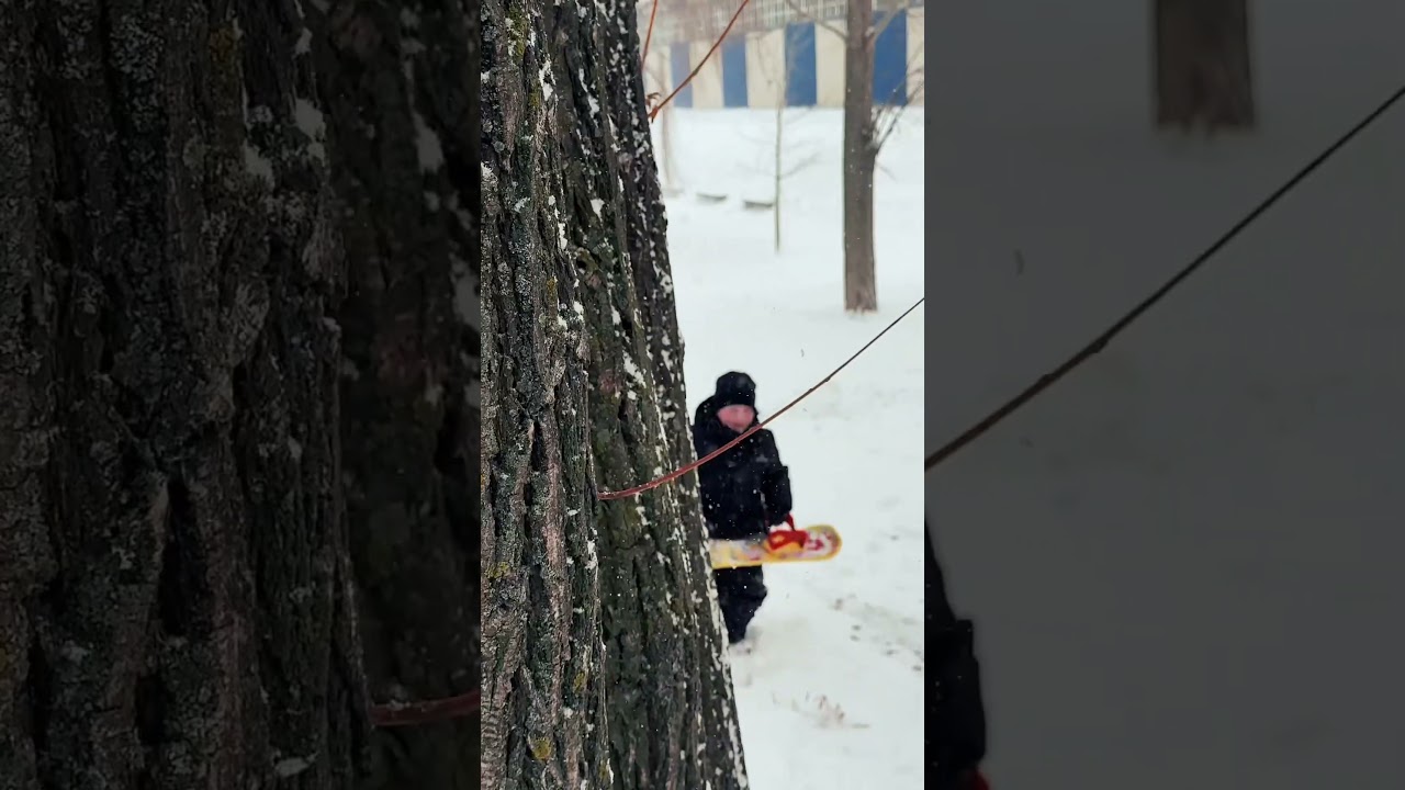 Kids love snow