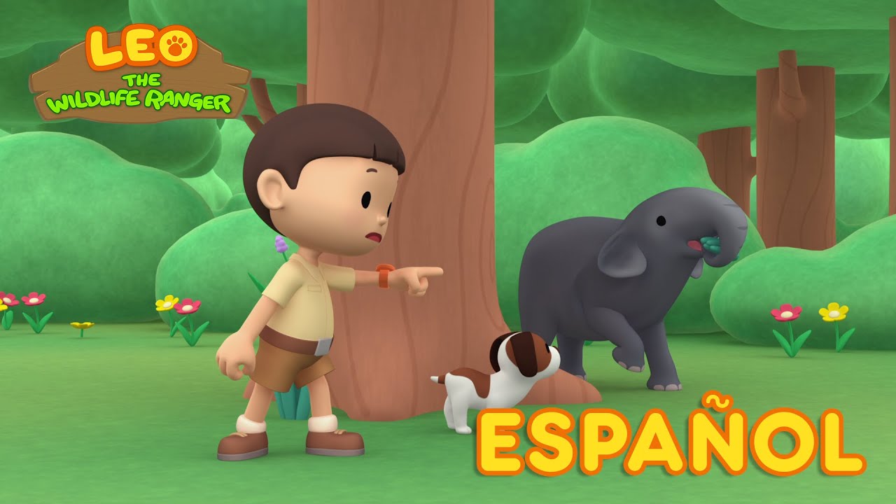Leo, El Explorador Episodio #122 - El Elefante Asiático (Español)