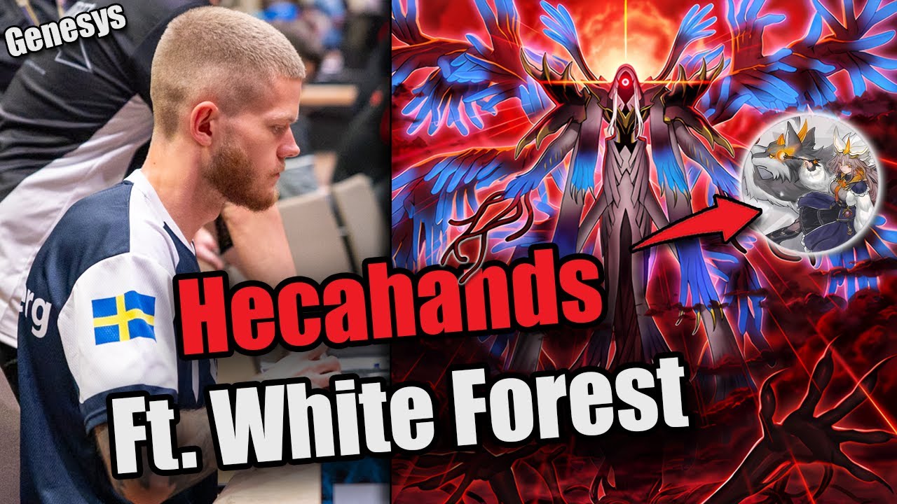 Эта НОВАЯ колода Hecahands просто невероятна! | Форт Уайт Форест