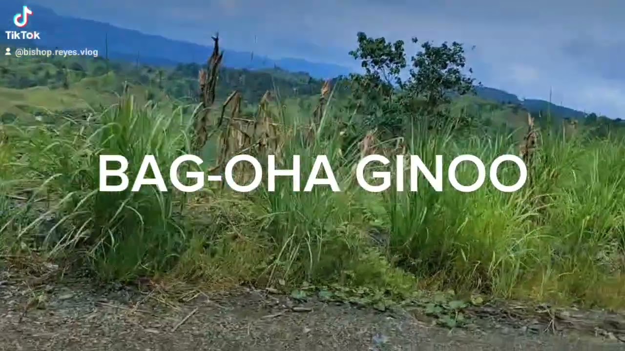 Bag-oha Ginoo