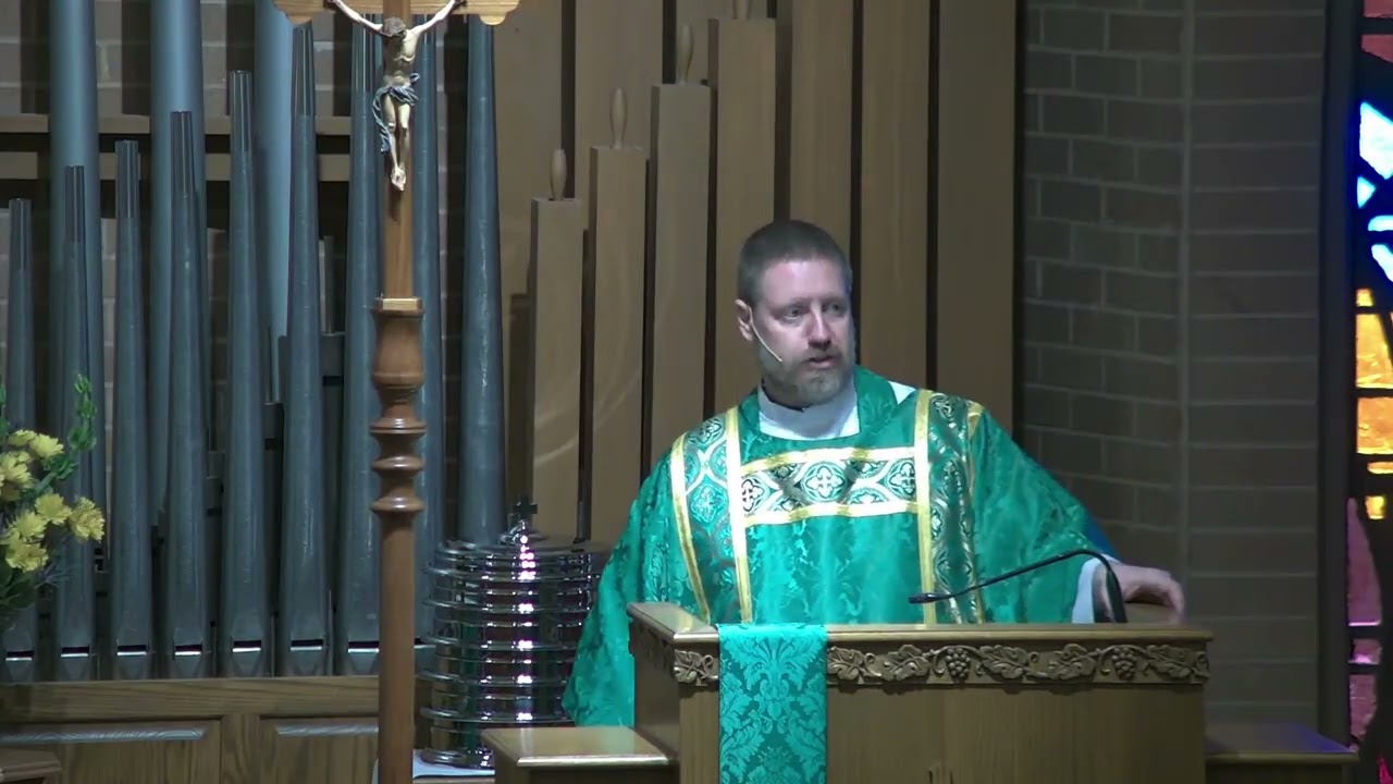 15 February 2026 - Quinquagesima Sunday