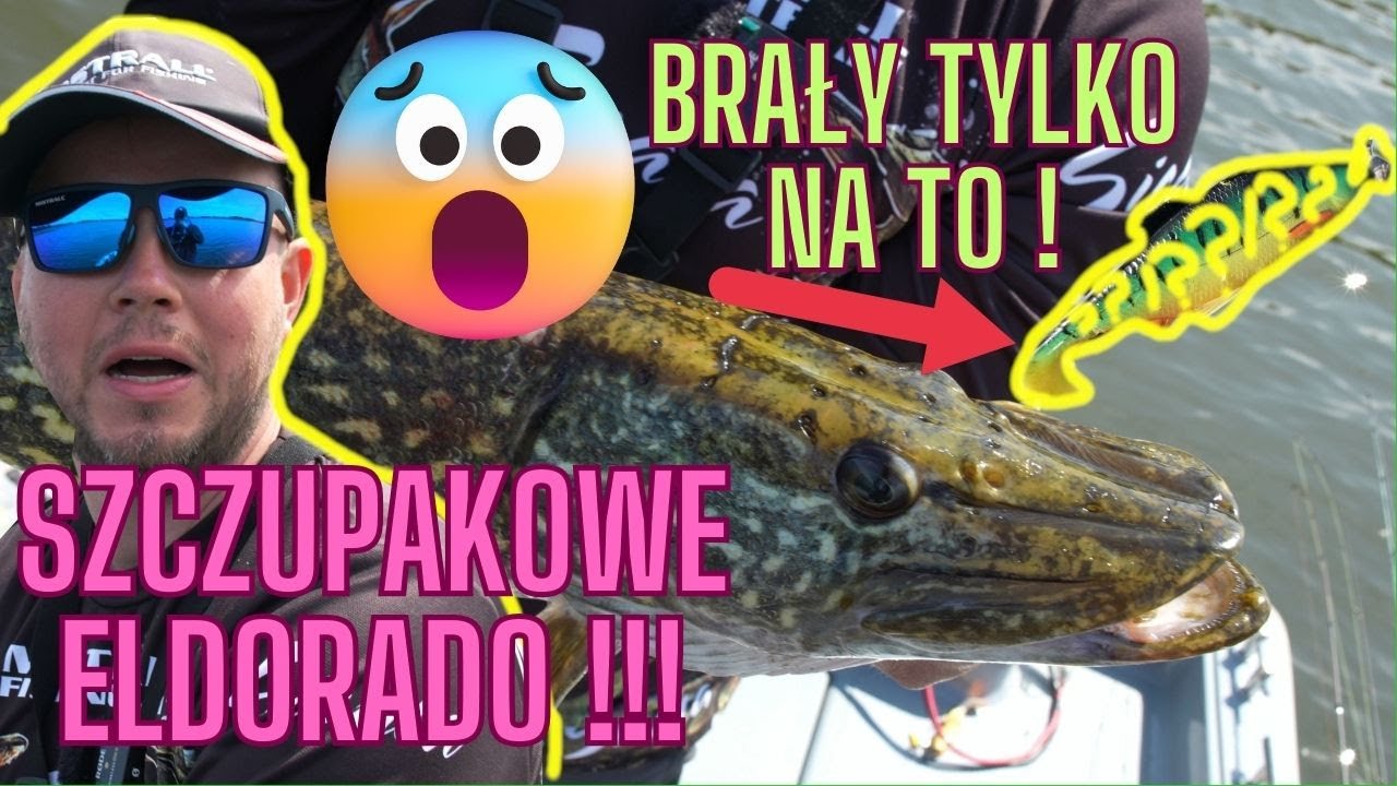 SZOK ! BRAŁY TYLKO NA JEDNĄ PRZYNĘTĘ !  SZCZUPAKOWE ELDORADO NA ŁOWISKU KWIECEWO