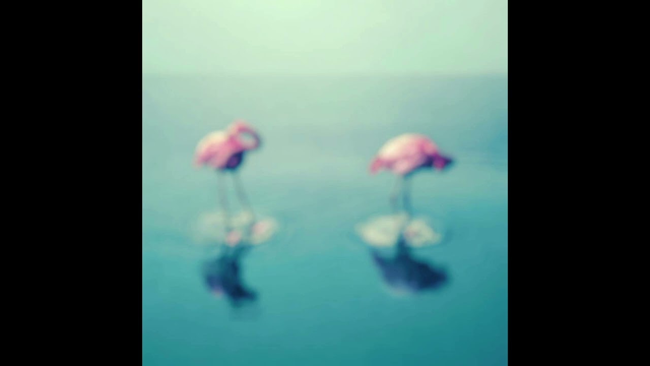 風景写真