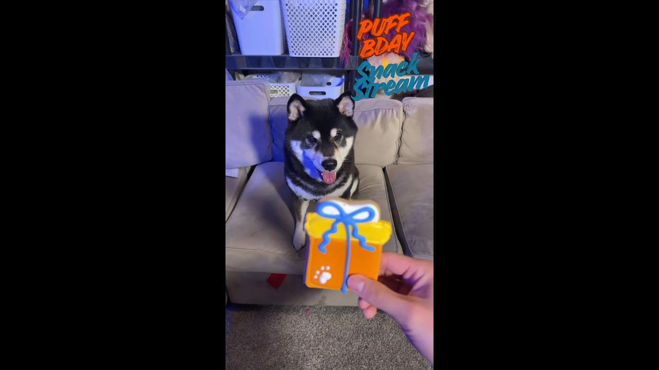 Puff Belated Birthday Treat Stream