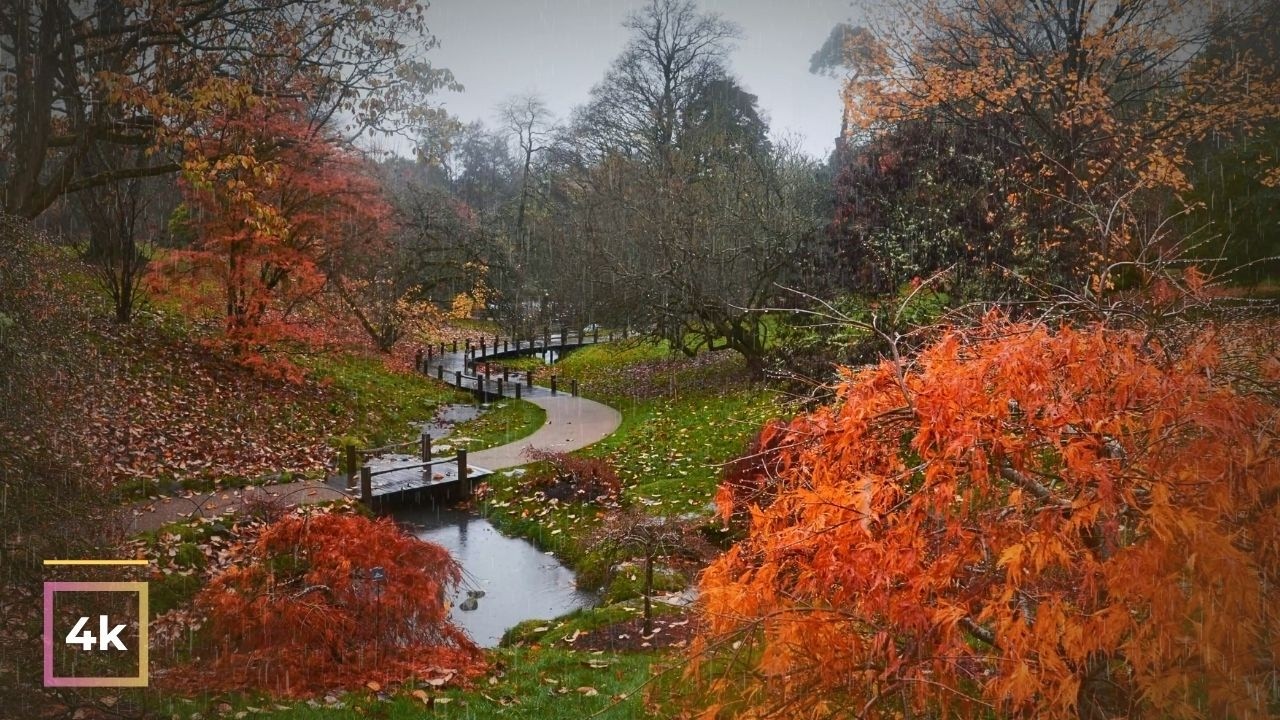 4K Relaxing Rain Walks 🌧️ Heavy Rain & Umbrella Sounds for Study & Focus