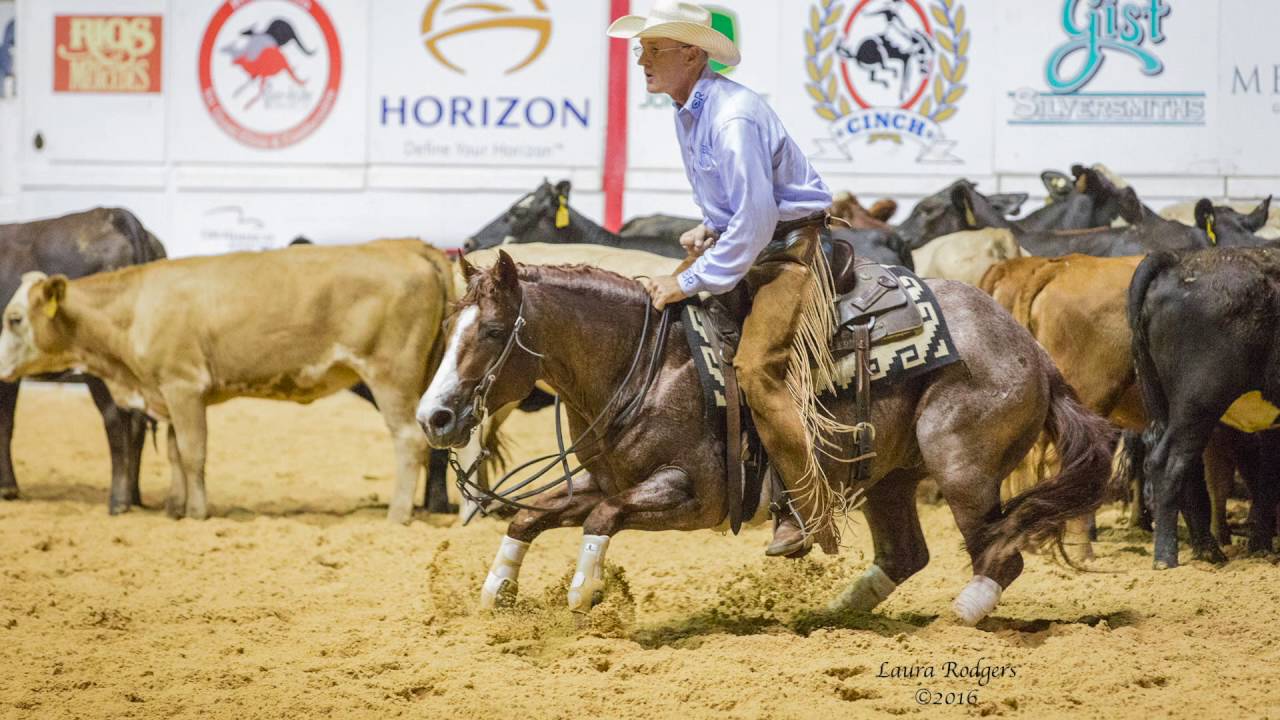 Sannman (2016 NCHA Summer Spectacular Classic Open 221)