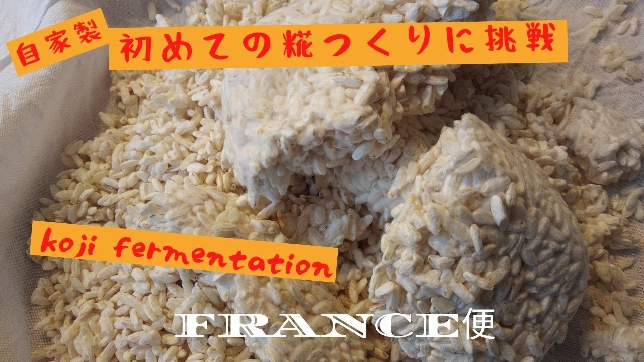 自家製糀（麹.KOJI）作りに初挑戦　日本の発酵食　海外でも発酵食づくり　Découvrir le Koji　うちの台所は狭い-Table 209