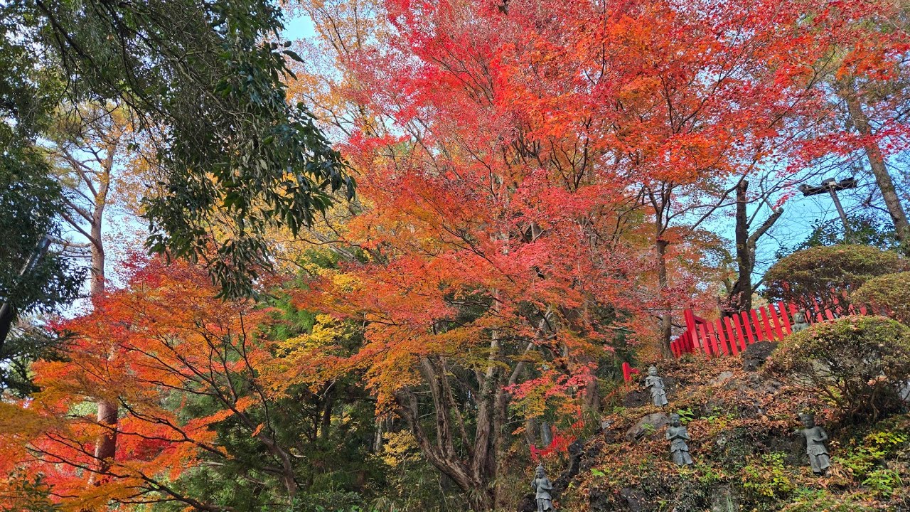 Mount Takao in Autumn Peak